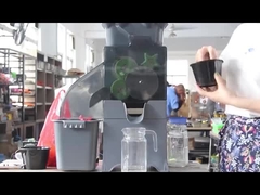 Commercial Automatic Calamansi Citrus Squeezer Lemon Squeezer Machine