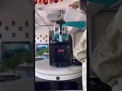 Electric Slush Machine 3L Double Tank Small Home & Commercial Use