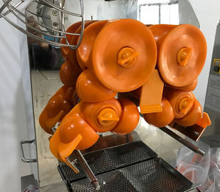 Commercial Juice Extractor Machine Auto Feed Orange Squeezer Compact Design