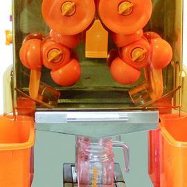 Orange Squeezer Juicer Fresh Orange Juicer Machine Industrial Juice Extractor
