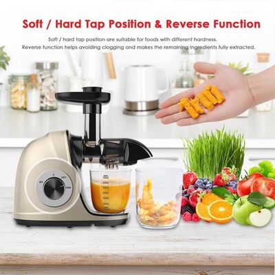 Fruit  Vegetable Screw Cold Press Masticating Juice Extractor Filter Free Electric