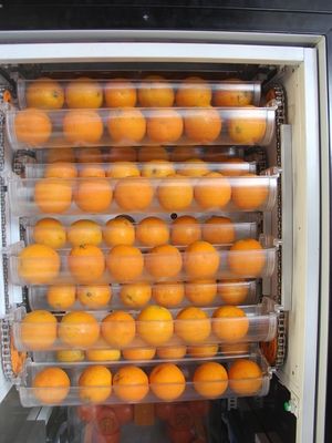 Electric Freshly Squeezed Orange Juice Vending Machines With LED Display Screen